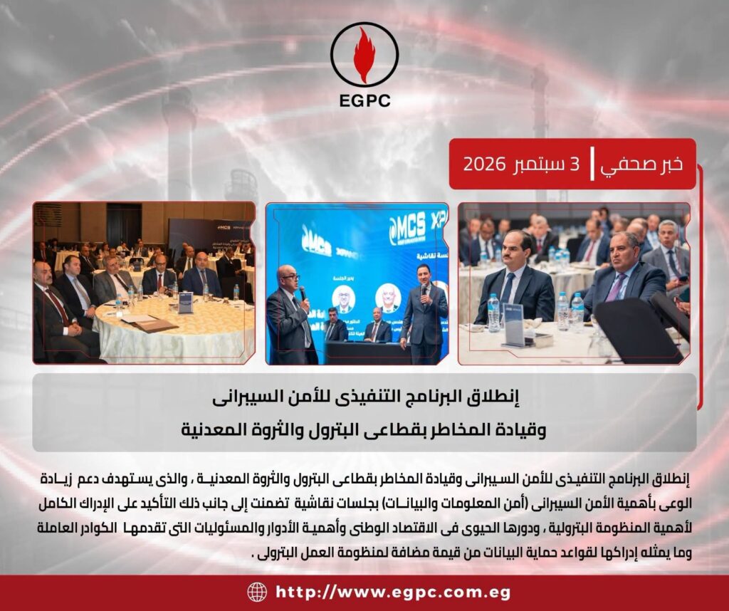 الثروة المعدنية