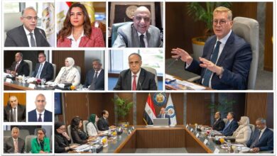 اعتماد الجمعية العامة للهيئة المصرية العامة للبترول