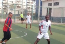 البتروكيماويات المصرية