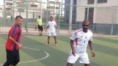 البتروكيماويات المصرية
