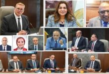 البتروكيماويات المصرية