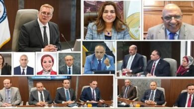 البتروكيماويات المصرية