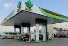 كارجاس.. توسع مستدام يعزز ريادة الغاز الطبيعي في مصر