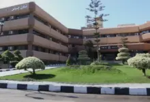 تاون جاس تدعم المشروعات القومية.. توسعات في توصيل الغاز والبنية التحتية