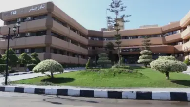 تاون جاس تدعم المشروعات القومية.. توسعات في توصيل الغاز والبنية التحتية