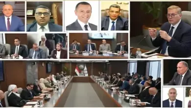 جنوب الوادي القابضة للبترول