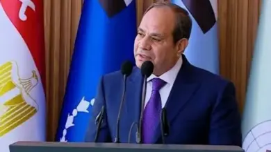 الرئيس عبد الفتاح السيسي