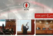 هيئة البترول تنظم ورشة عمل تخصصية حول «المواصفات القياسية للاستدامة»