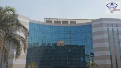 مجلة البترول تسلط الضوء على إنجازات ثروة للبترول.. زيادة الإنتاج 15% ونمو الأرباح 9%