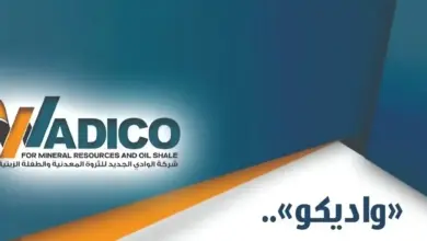 شركة واديكو